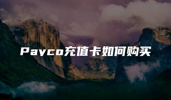 Payco充值卡如何购买