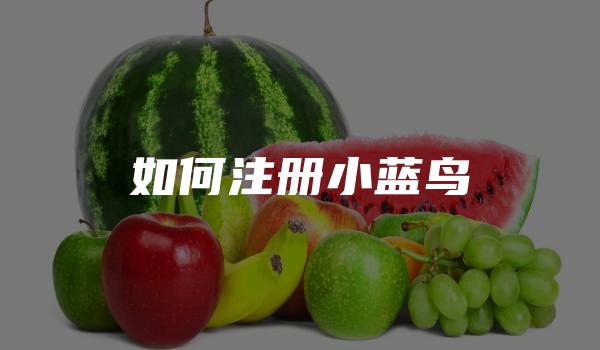 如何注册小蓝鸟