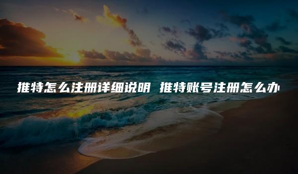 推特怎么注册详细说明 推特账号注册怎么办