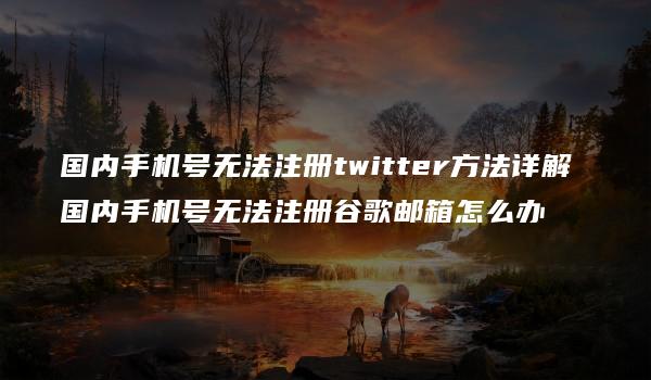 国内手机号无法注册twitter方法详解 国内手机号无法注册谷歌邮箱怎么办-kardz资讯中心