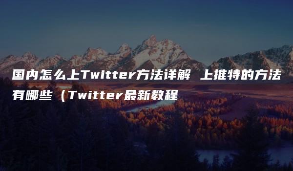 国内怎么上Twitter方法详解 上推特的方法有哪些（Twitter最新教程