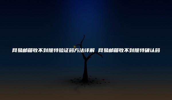 网易邮箱收不到推特验证码方法详解 网易邮箱收不到推特确认码