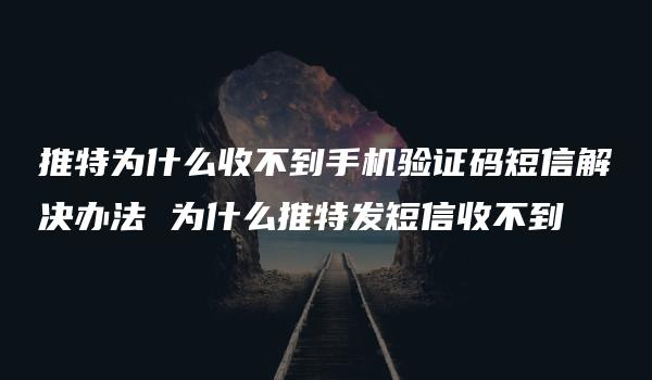 推特为什么收不到手机验证码短信解决办法 为什么推特发短信收不到