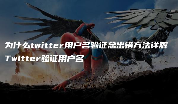 为什么twitter用户名验证总出错方法详解 Twitter验证用户名