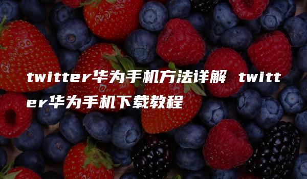 twitter华为手机方法详解 twitter华为手机下载教程