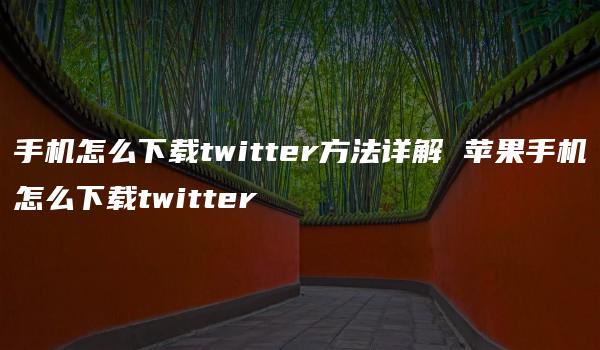 手机怎么下载twitter方法详解 苹果手机怎么下载twitter