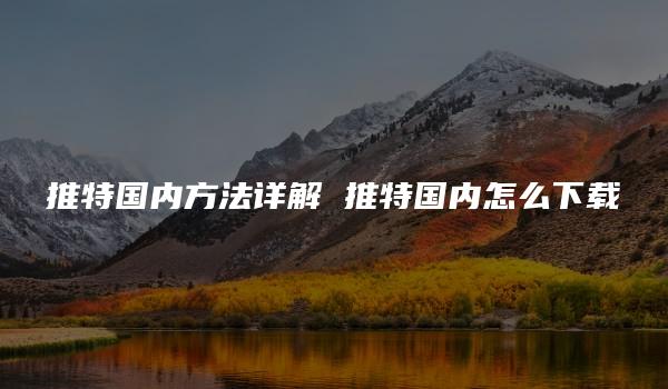 推特国内方法详解 推特国内怎么下载
