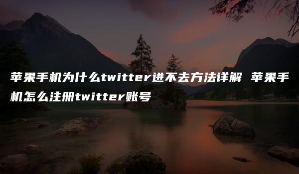 苹果手机为什么twitter进不去方法详解 苹果手机怎么注册twitter账号