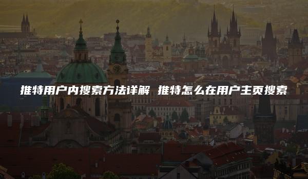推特用户内搜索方法详解 推特怎么在用户主页搜索