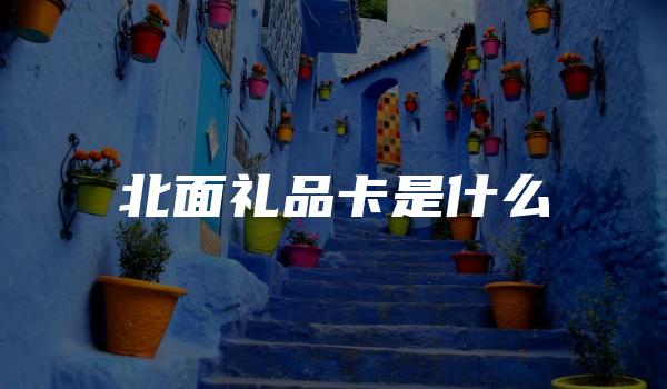 北面礼品卡是什么