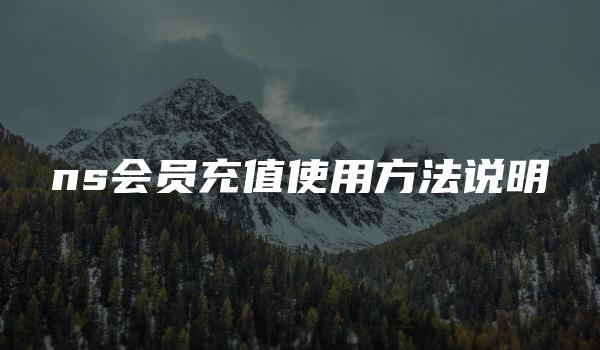 ns会员充值使用方法说明