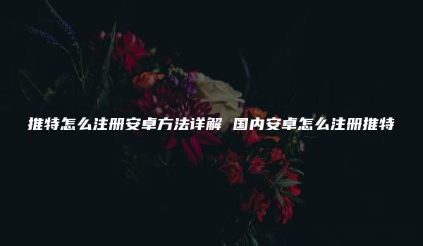 推特怎么注册安卓方法详解 国内安卓怎么注册推特