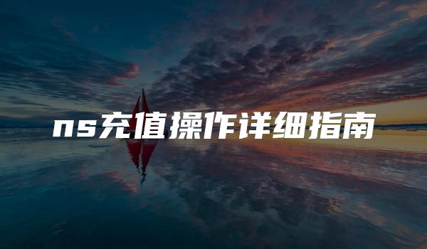 ns充值操作详细指南