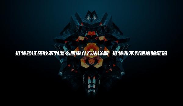 推特验证码收不到怎么回事儿方法详解 推特收不到短信验证码