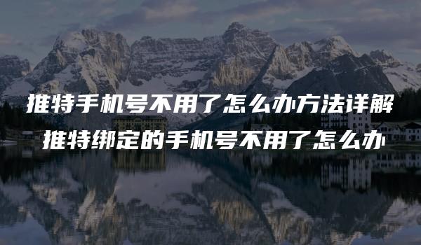 推特手机号不用了怎么办方法详解 推特绑定的手机号不用了怎么办