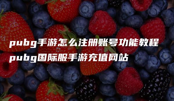 pubg手游怎么注册账号功能教程 pubg国际服手游充值网站