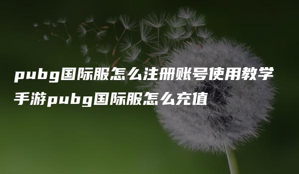 pubg国际服怎么注册账号使用教学 手游pubg国际服怎么充值-kardz资讯中心