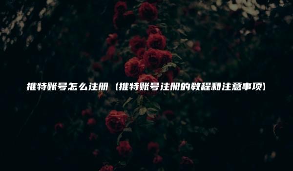 推特账号怎么注册 (推特账号注册的教程和注意事项)